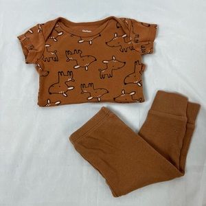 Brown Deer 2-piece Set